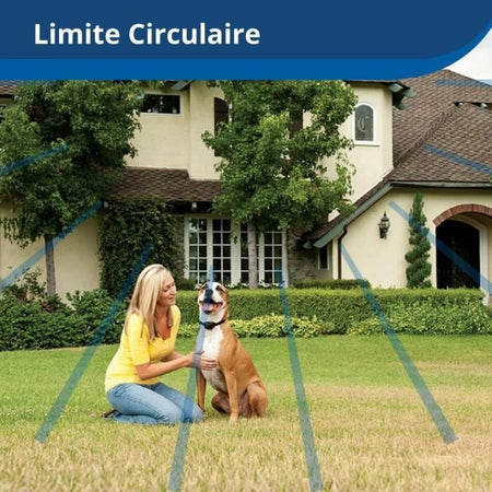 Collare ricevitore wireless per animali domestici PetSafe 3,6+ kg