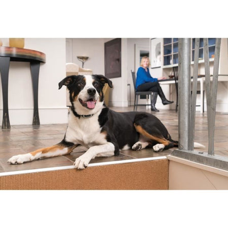 Collare aggiuntivo per Sistemi di Supporto Educativo 300-600-900 m