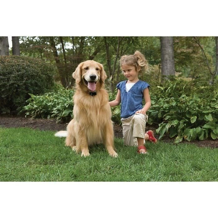 PETSAFE - Recinzione anti-fuga - Per cani