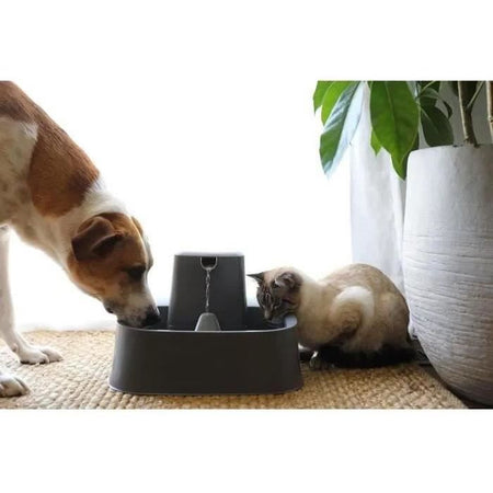 Fontana in plastica da 7,5 l - senza BPA