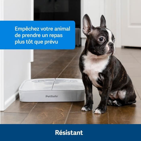 Distributore automatico - PETSAFE - 2 pasti