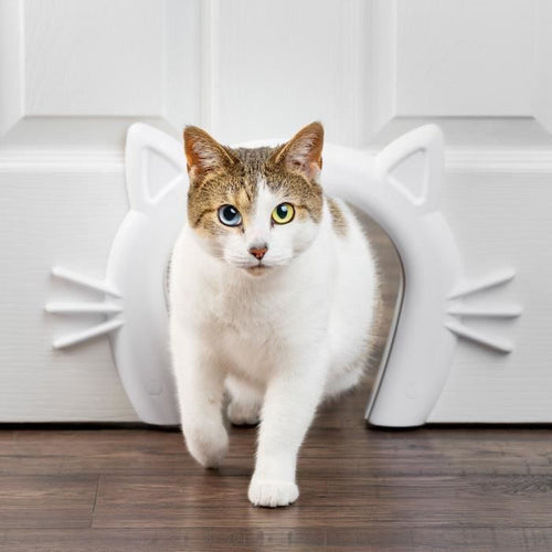 Passaggio per gatti - PETSAFE - CAT CORRIDOR - Bianco
