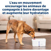 Fontana d'acqua - PETSAFE - VIVA - 4,1 L - Bianco