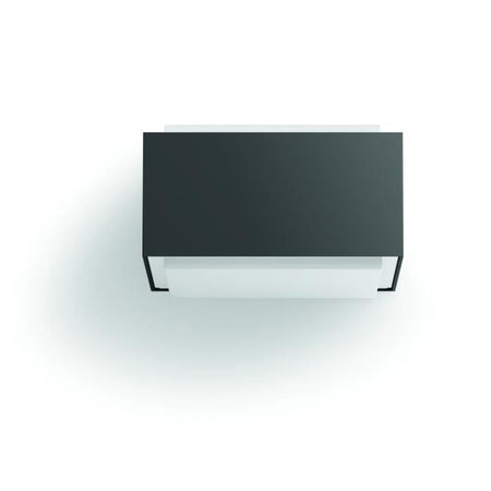 Applique da esterno PHILIPS Hedgehog - Antracite - 1x42W