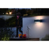 Applique da esterno PHILIPS Hedgehog - Antracite - 1x42W