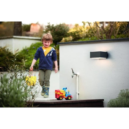 Applique da esterno PHILIPS Hedgehog - Antracite - 1x42W