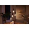 Philips Hue White Ambiance, LED Connected LED E27 Filament G93 Globe, Bluetooth, lavora con Alexa, Google e HomeKit