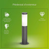 Terminal esterno Philips Utrecht - 1x20W - Antracite