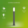 Philips Potelet Utrecht - 20W - Antracite