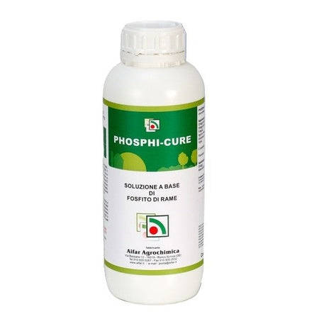 Phosphi-Cure Lt.1