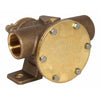Pompa In Bronzo 52080-2001