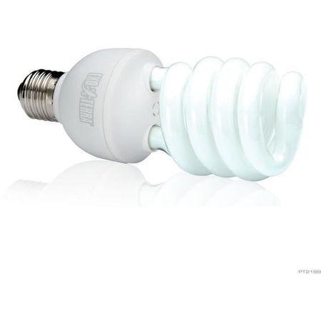 Lampada fluorescente compatta UVB per terrario - EXO TERRA - Rettile UVB 150 - Clima desertico 26W