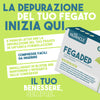 fegadep-2