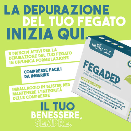 fegadep-2