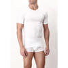 Perofil Maglia Intima da Uomo Girocollo Maniche Corte Filo Scozia V-Neck S32 - Passarelli Biancheria