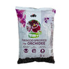 Torfy Terriccio Specifico per Orchidee Lt.3 Cifo