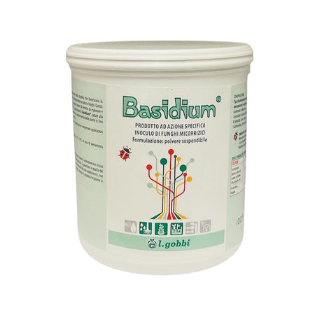 Basidium Kg. 1