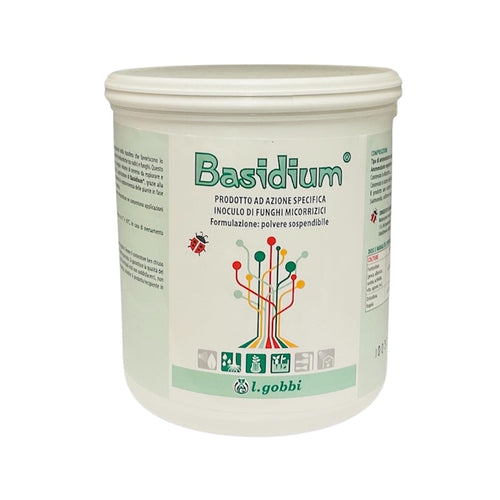 Basidium Kg. 1