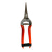 Forbice Cogliuva Leggera Lunga Inox 19