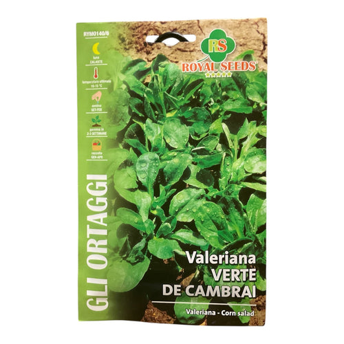 Valeriana Verte de Cambrai Semi Royal Seeds