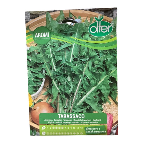 Tarassaco Semi Olter