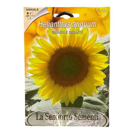 Girasole Gigante Semi La Semiorto Sementi
