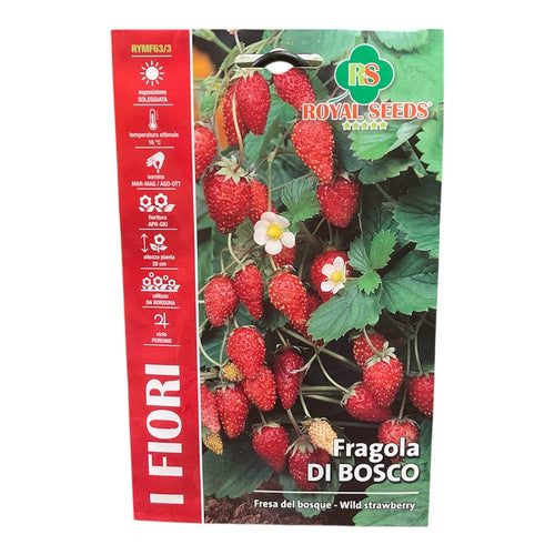 Fragola di Bosco Semi Royal Seeds