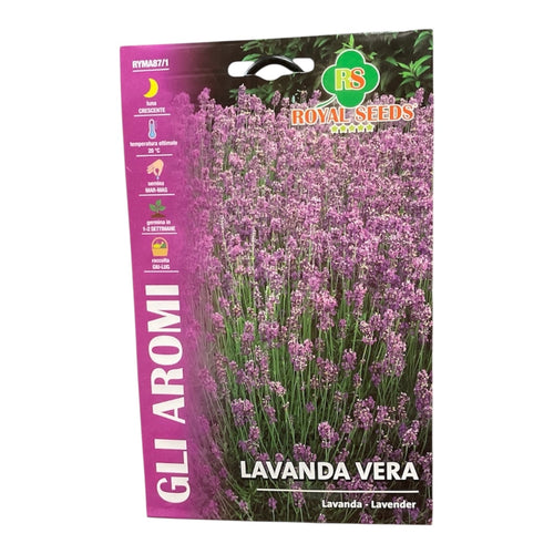 Lavanda Vera Semi Royal Seeds