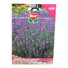 Lavanda Vera da Bordura Semi Four
