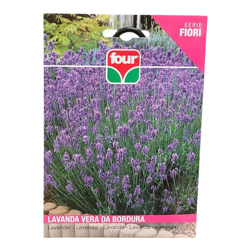Lavanda Vera da Bordura Semi Four