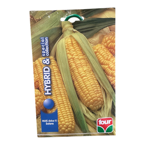 Mais Dolce F1 Solare Semi Ibridi Four