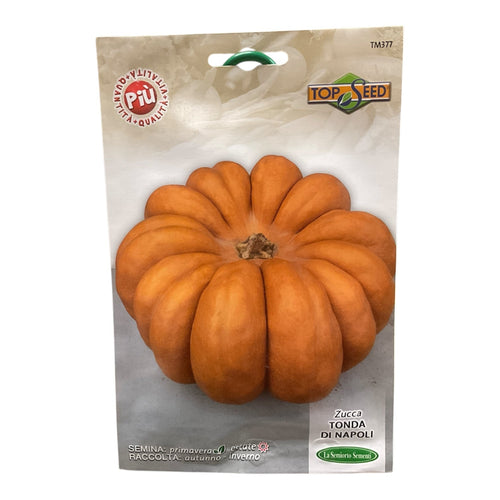 Zucca Tonda di Napoli Semi La Semiorto Sementi