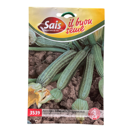 Zucchino Romanesco - Gianicolo Semi SAIS