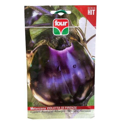 Melanzana Violetta di Firenze Semi Four