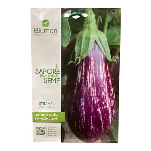 Melanzana STEAK F1 Striata Ovale Semi Blumen