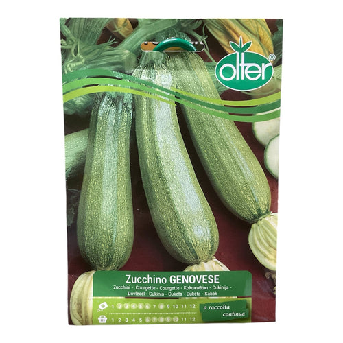 Zucchino Genovese Semi Olter