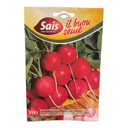 Ravanello Gigante Siculo-Estate Semi SAIS