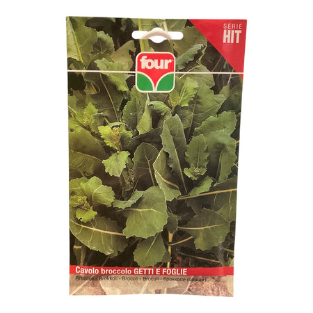 Cavolo Broccolo Getti e Foglie Semi Four