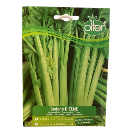 Sedano D’Elene Semi Olter