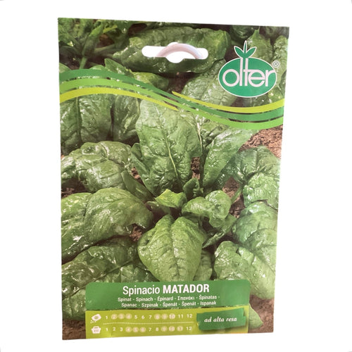 Spinacio Matador Semi Olter