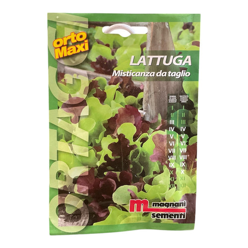 Lattuga Misticanza da Taglio Semi Magnani Sementi