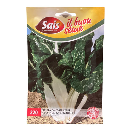 Bietola da Coste Verde a Costa Larga Argentata Semi SAIS