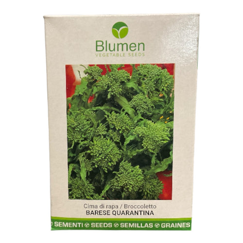 Cima di Rapa / Broccoletto Barese Quarantina gr.500 Blumen