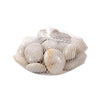 Pietre marmo lucide 800 gr sassi decorativi per piante e vasi da esterno