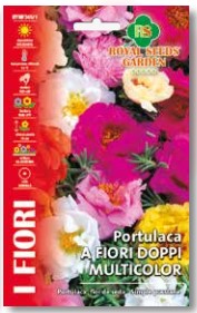 Portulaca A Fiori Doppi Multicolor