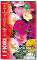 Portulaca A Fiori Doppi Multicolor