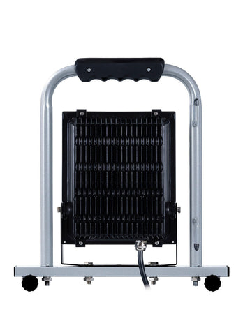 Proiettore LED WERKU (30W)