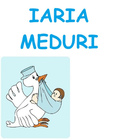 Lista Nascita Iaria - Meduri
