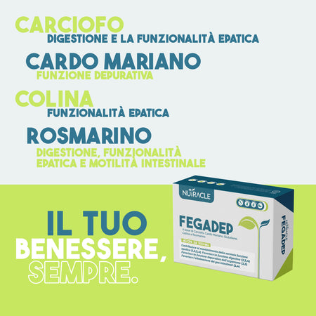 fegadep-3