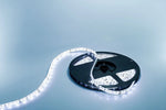 LED STRIP 12V 3528 BIANCO FREDDO